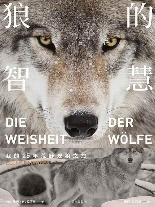 狼的智慧-azw3+epub+mobi+pdf+txt电子书下载