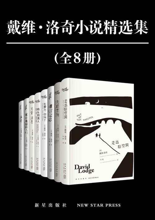 戴维·洛奇小说精选集（全8册）-azw3+epub+mobi+pdf+txt电子书下载