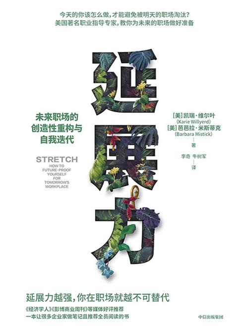 延展力-azw3+epub+mobi+pdf+txt电子书下载