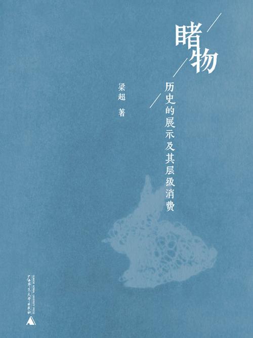 睹物：历史的展示及其层级消费-azw3+epub+mobi+pdf+txt电子书下载