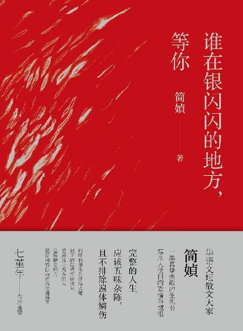 谁在银闪闪的地方，等你-azw3+epub+mobi+pdf+txt电子书下载