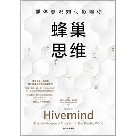 蜂巢思维：群体意识如何影响你-azw3+epub+mobi+pdf+txt电子书下载