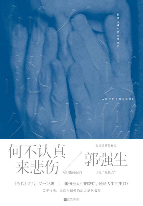何不认真来悲伤-azw3+epub+mobi+pdf+txt电子书下载