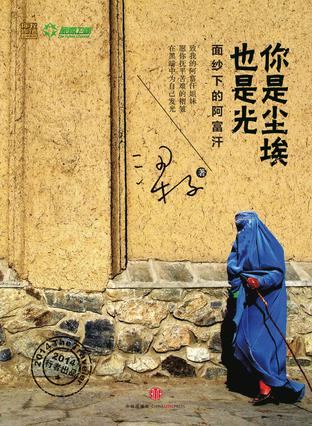 你是尘埃也是光-azw3+epub+mobi+pdf+txt电子书下载