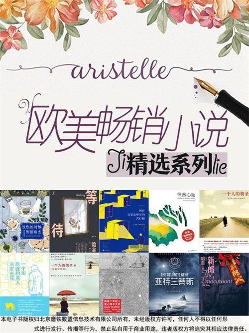 欧美畅销小说精选系列（套装10册）-azw3+epub+mobi+pdf+txt电子书下载
