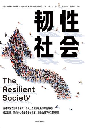 韧性社会-azw3+epub+mobi+pdf+txt电子书下载
