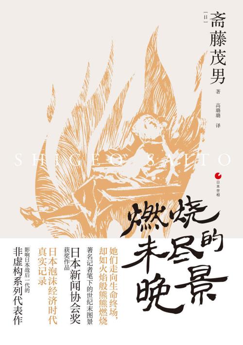 燃烧未尽的晚景-azw3+epub+mobi+pdf+txt电子书下载