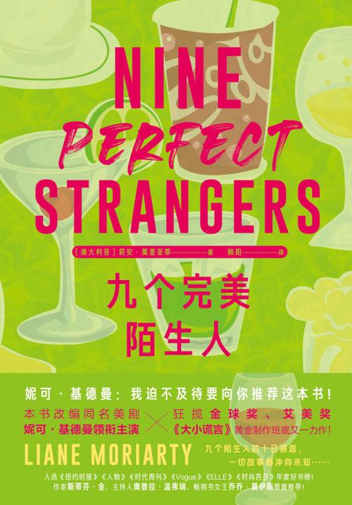 九个完美陌生人-azw3+epub+mobi+pdf+txt电子书下载