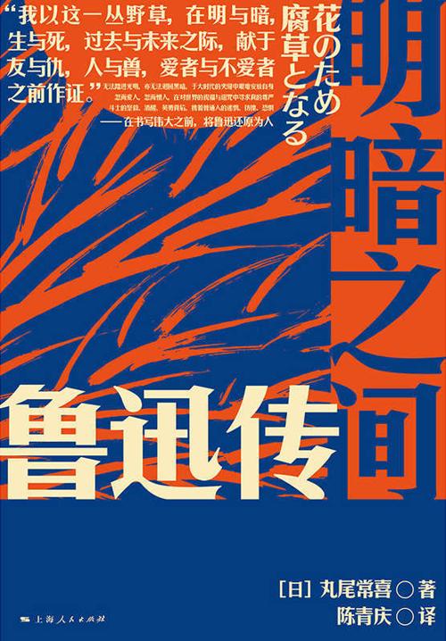 明暗之间：鲁迅传-azw3+epub+mobi+pdf+txt电子书下载