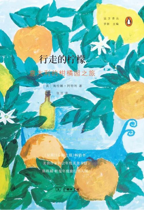 行走的柠檬-azw3+epub+mobi+pdf+txt电子书下载
