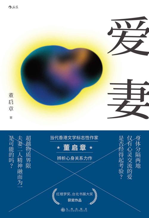 爱妻-azw3+epub+mobi+pdf+txt电子书下载