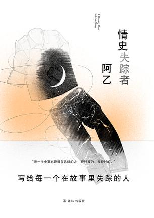 情史失踪者-azw3+epub+mobi+pdf+txt电子书下载