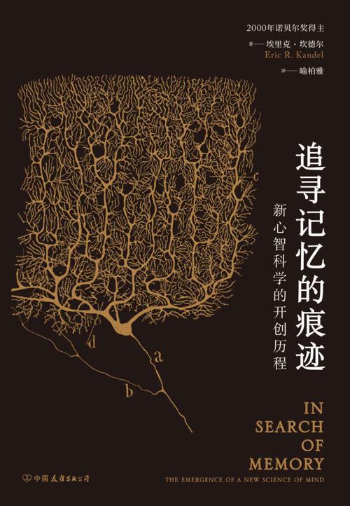 追寻记忆的痕迹-azw3+epub+mobi+pdf+txt电子书下载