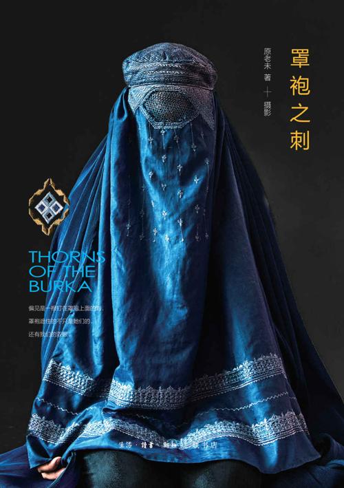 罩袍之刺-azw3+epub+mobi+pdf+txt电子书下载
