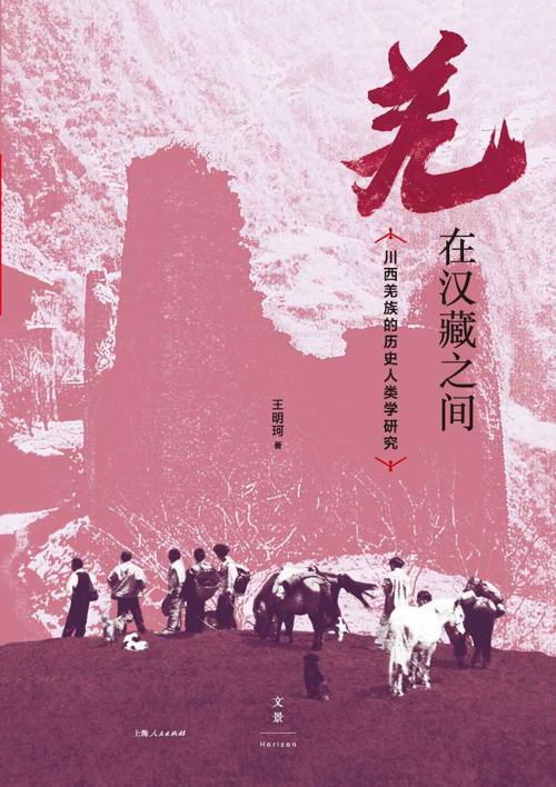 羌在汉藏之间-azw3+epub+mobi+pdf+txt电子书下载