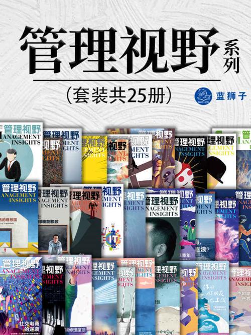 管理视野系列（套装共25册）-azw3+epub+mobi+pdf+txt电子书下载