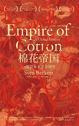 棉花帝国:一部资本主义全球史-azw3+epub+mobi+pdf+txt电子书下载