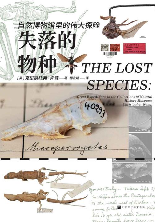 失落的物种-azw3+epub+mobi+pdf+txt电子书下载