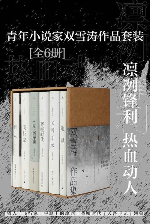 青年小说家双雪涛作品套装（全6册）-azw3+epub+mobi+pdf+txt电子书下载