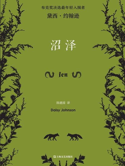 沼泽-azw3+epub+mobi+pdf+txt电子书下载
