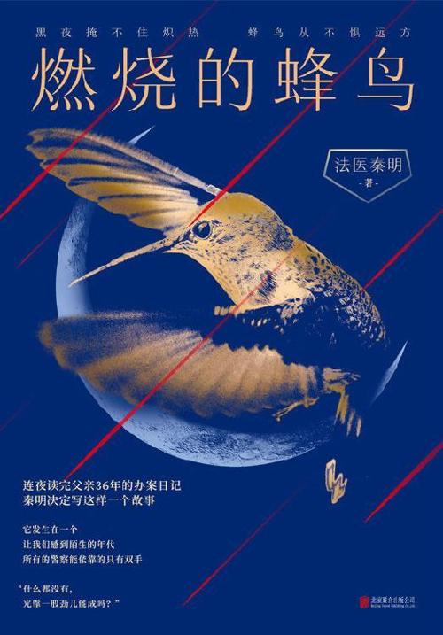 燃烧的蜂鸟-azw3+epub+mobi+pdf+txt电子书下载