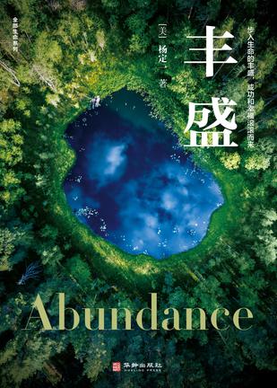 丰盛-azw3+epub+mobi+pdf+txt电子书下载