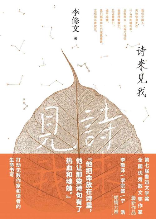 诗来见我-azw3+epub+mobi+pdf+txt电子书下载