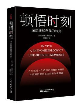 顿悟时刻-azw3+epub+mobi+pdf+txt电子书下载