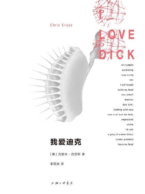我爱迪克-azw3+epub+mobi+pdf+txt电子书下载
