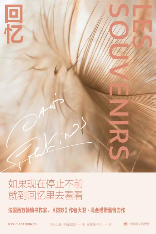 回忆-azw3+epub+mobi+pdf+txt电子书下载