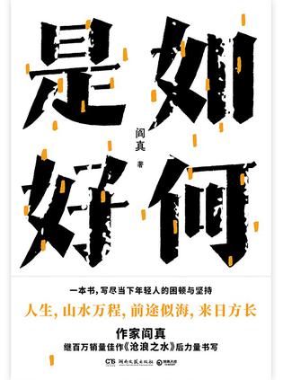 如何是好-azw3+epub+mobi+pdf+txt电子书下载