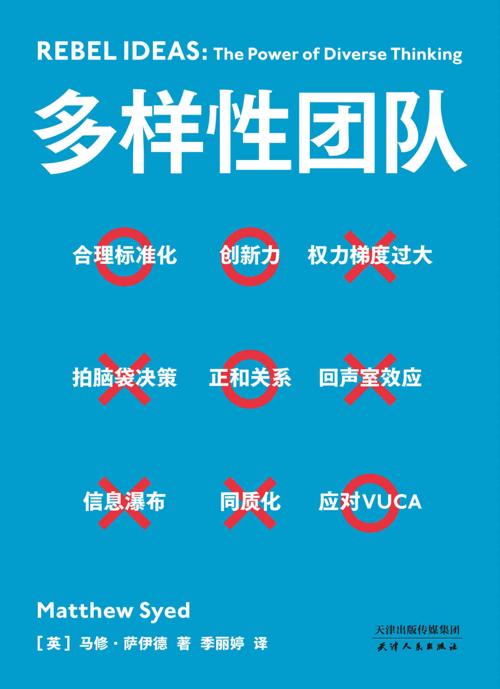 多样性团队-azw3+epub+mobi+pdf+txt电子书下载