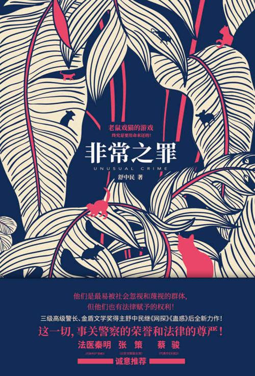 非常之罪-azw3+epub+mobi+pdf+txt电子书下载