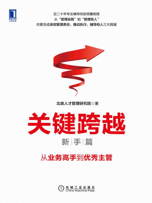 关键跨越（新手篇）-azw3+epub+mobi+pdf+txt电子书下载