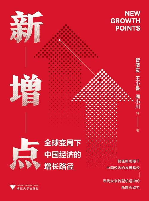 新增点:全球变局下中国经济的增长路径-azw3+epub+mobi+pdf+txt电子书下载