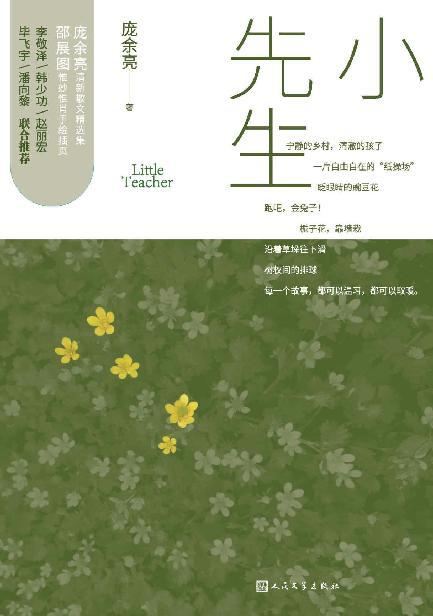 小先生-azw3+epub+mobi+pdf+txt电子书下载