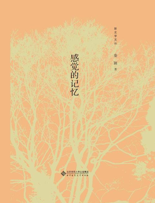 感觉的记忆-azw3+epub+mobi+pdf+txt电子书下载