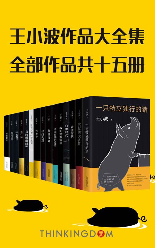 王小波真正大全集（15册）-azw3+epub+mobi+pdf+txt电子书下载
