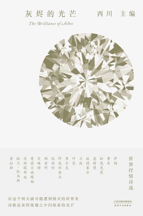 灰烬的光芒-azw3+epub+mobi+pdf+txt电子书下载