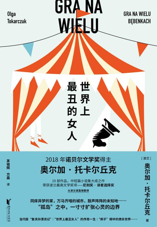 世界上最丑的女人-azw3+epub+mobi+pdf+txt电子书下载