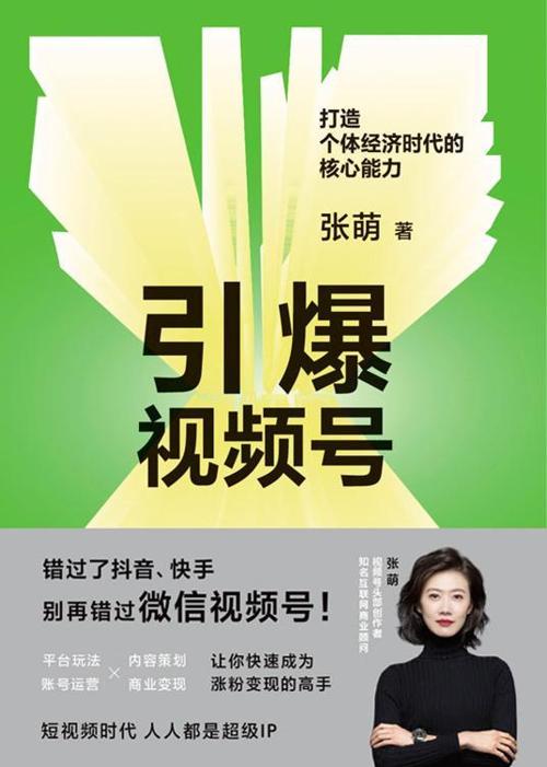 引爆视频号-azw3+epub+mobi+pdf+txt电子书下载