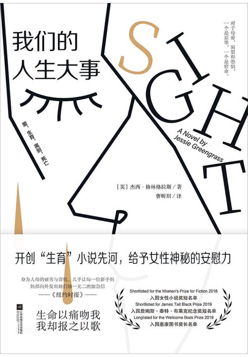 我们的人生大事:开创“生育”小说先河，给予女性神秘的安慰力-azw3+epub+mobi+pdf+txt电子书下载