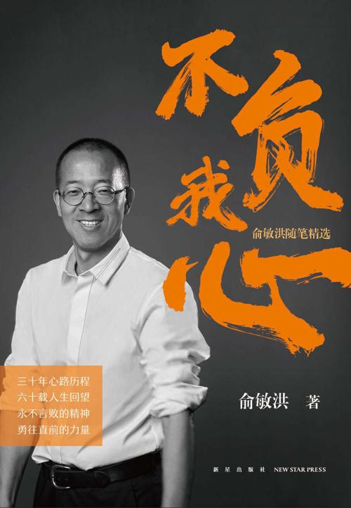 不负我心-azw3+epub+mobi+pdf+txt电子书下载
