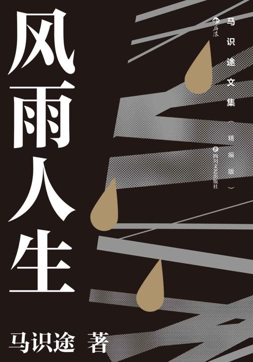 风雨人生-azw3+epub+mobi+pdf+txt电子书下载