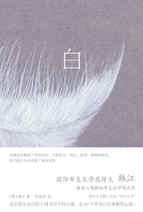 白-azw3+epub+mobi+pdf+txt电子书下载