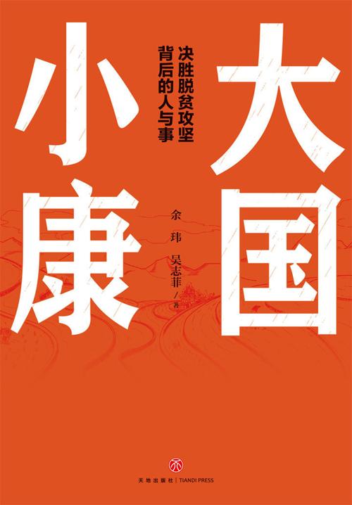 大国小康-azw3+epub+mobi+pdf+txt电子书下载