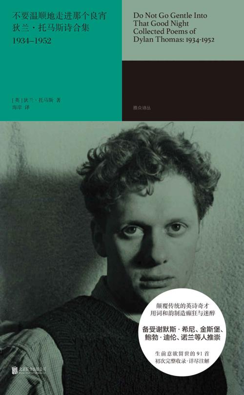 不要温顺地走进那个良宵-azw3+epub+mobi+pdf+txt电子书下载