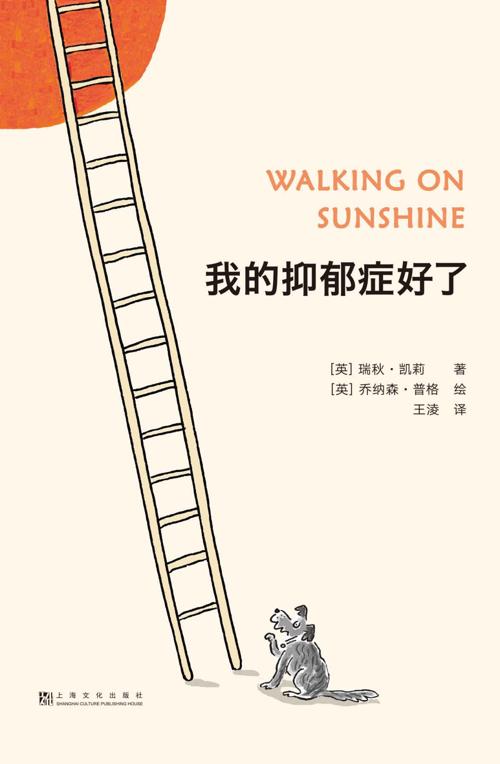 我的抑郁症好了-azw3+epub+mobi+pdf+txt电子书下载