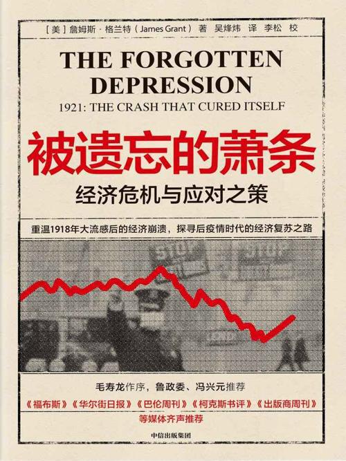 被遗忘的萧条 : 经济危机与应对之策-azw3+epub+mobi+pdf+txt电子书下载