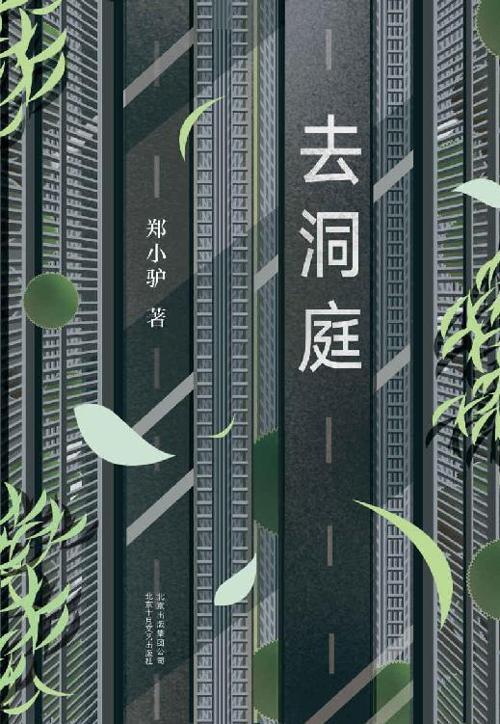 去洞庭-azw3+epub+mobi+pdf+txt电子书下载